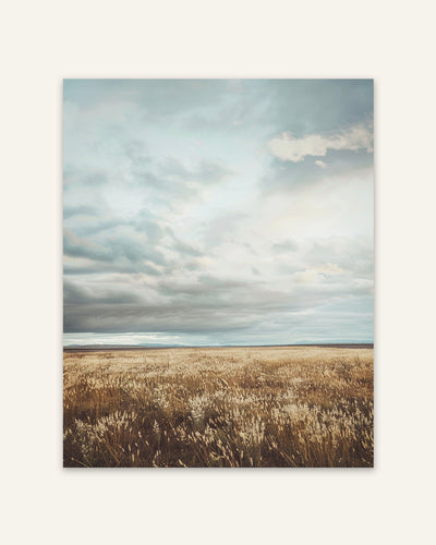 Meadow Horizon Poster