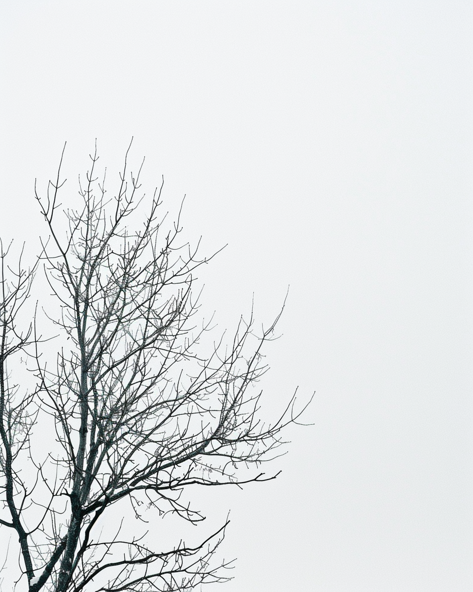 Minimalist naturposter med nakna trädgrenar mot ljus himmel, designad av Nordanio.