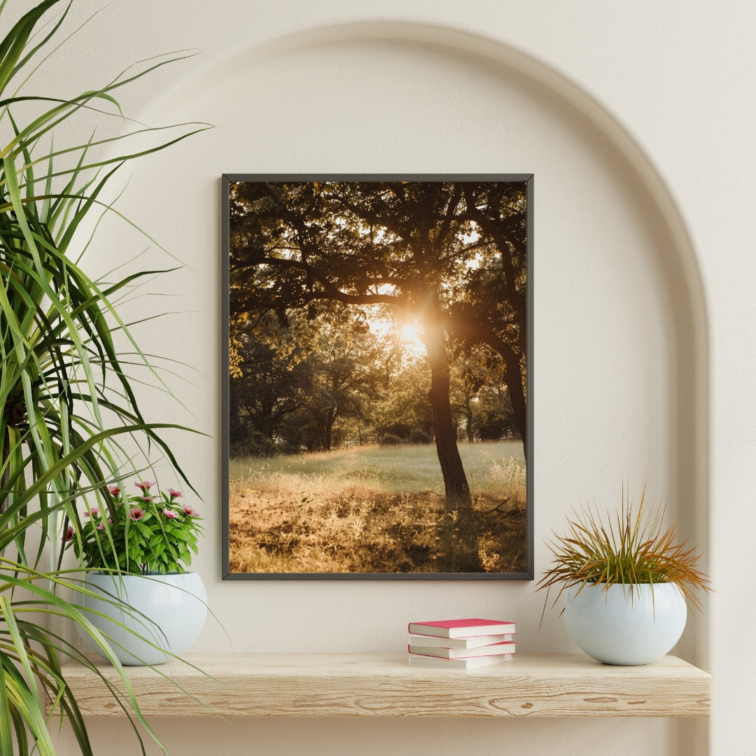 Beige naturposter med solbelysta träd i minimalistisk ram, av Nordanio, perfekt för väggdekoration i naturliga inredningar.