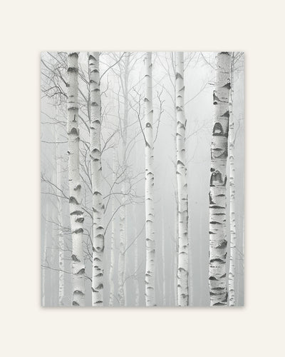 Birch Forest Mist Poster