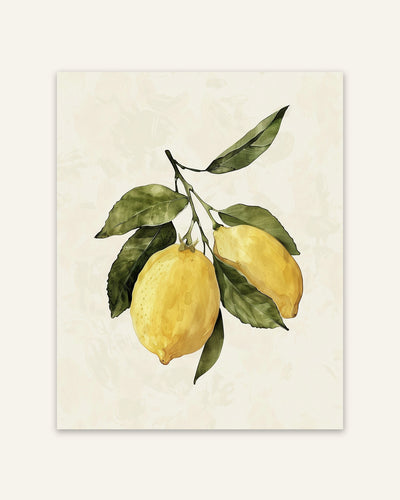 Lemon Illustration Poster