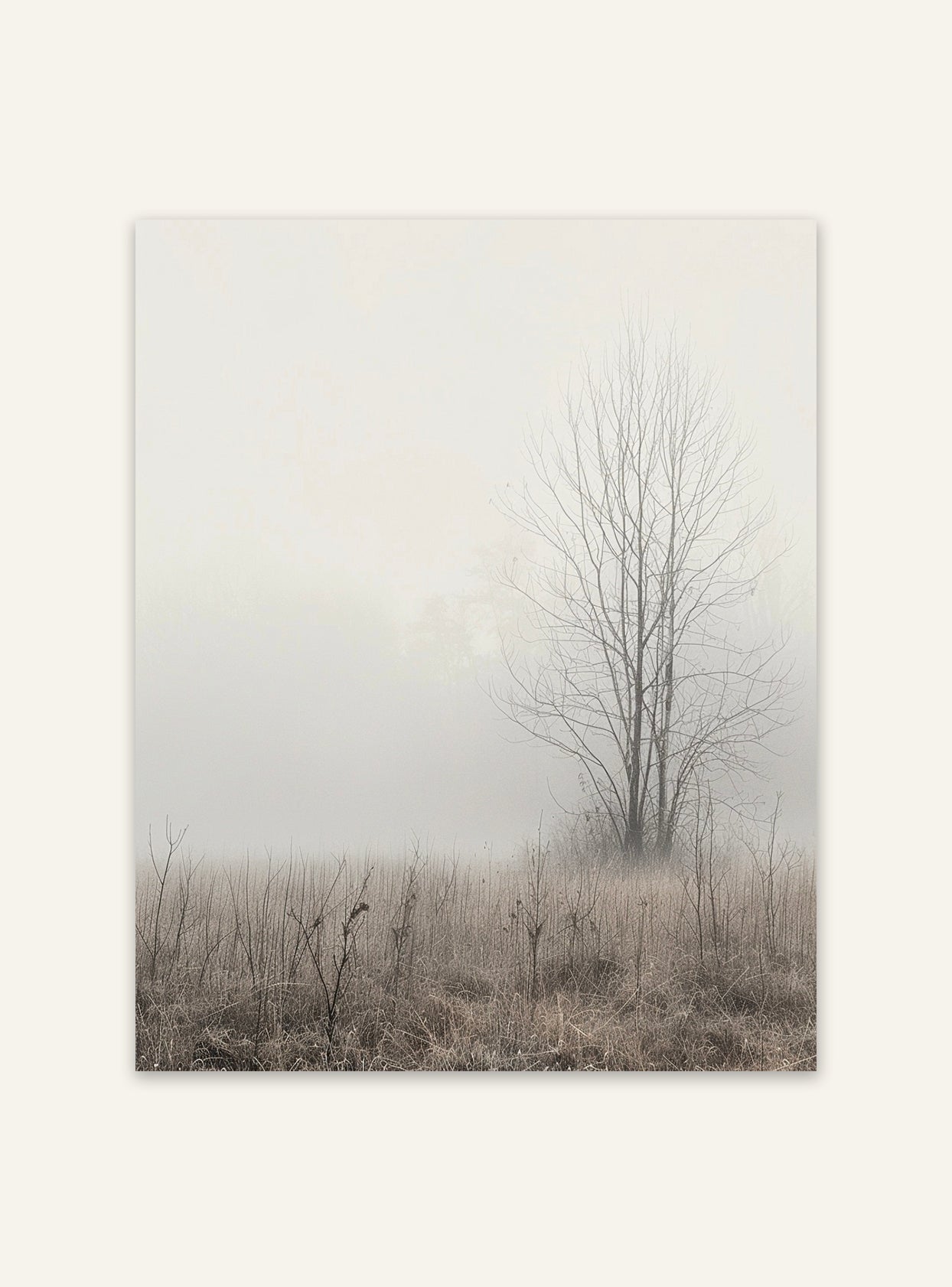 Nordanio Meadow Mist naturposter med dimmig landskapsbild, växtlighet och mjuka färgnyanser, perfekt för väggdekoration.