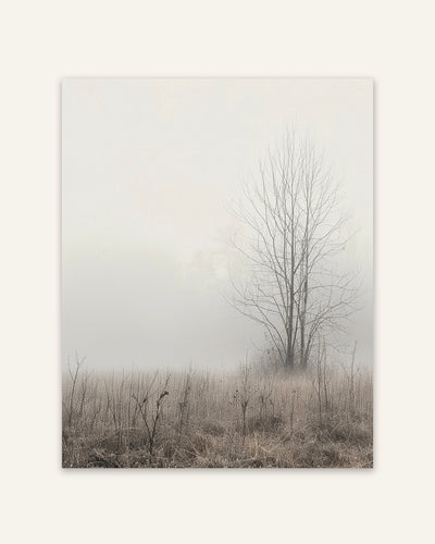 Meadow Mist Poster