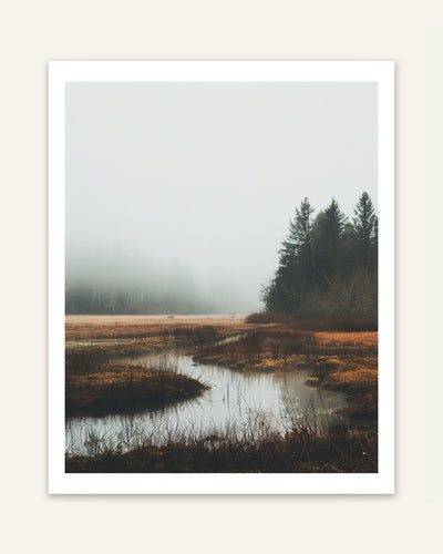Misty Landscape Poster