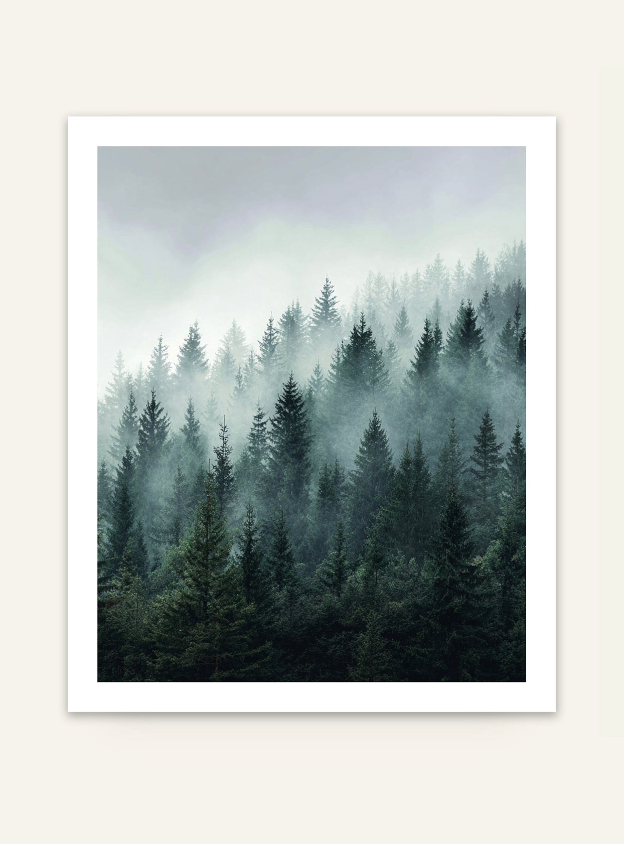 Minimalistisk naturposter av tallskog med skogsmotiv i nordisk stil från Nordanio, perfekt som väggdekoration.