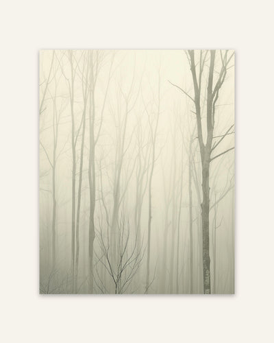 Misty Forest Trees Poster