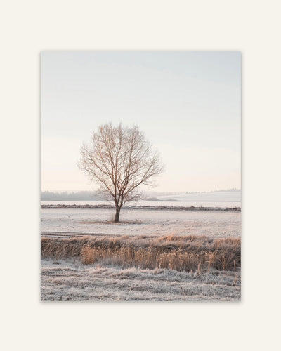 Lone Tree Poster