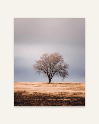Lone Tree Neutral Poster