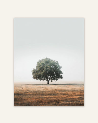 Lone Tree Poster