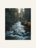 Nordanio naturposter med skog och flodmotiv i vacker svensk landskapsstil.
