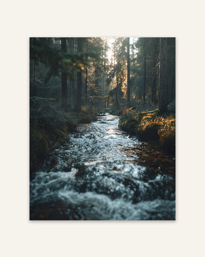Forest River Poster