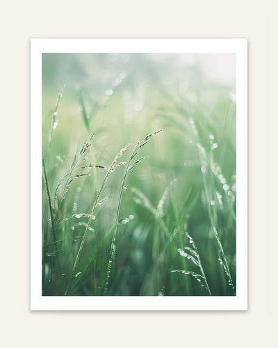 Dewy Grass Poster
