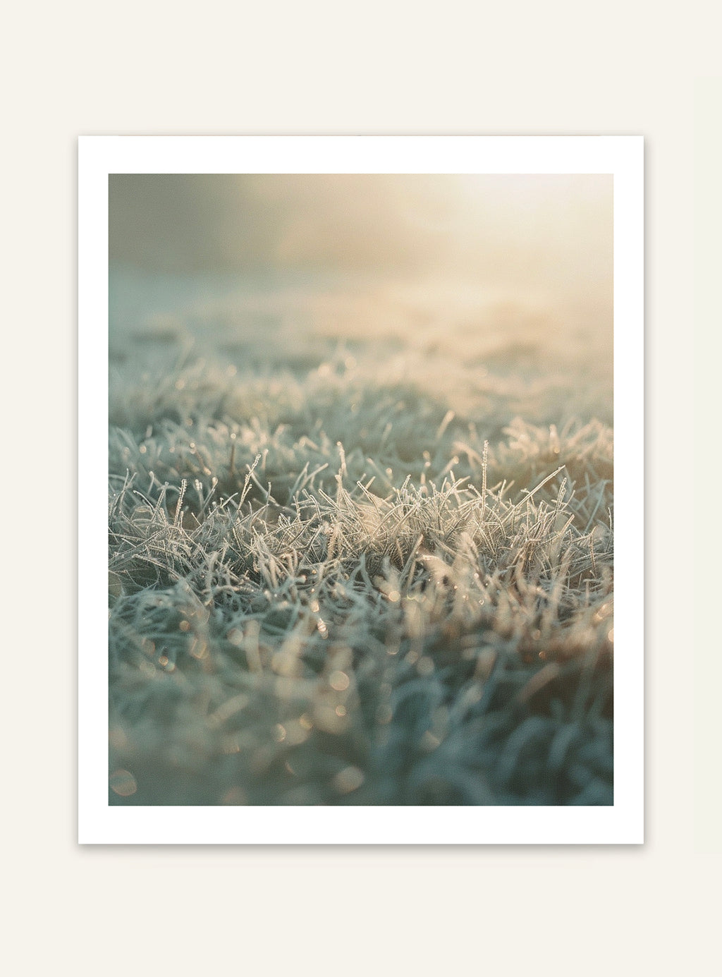 Frost Grass poster från Nordanio, naturmotiv med frostbeklämt gräs, väggdekoration för naturälskare.