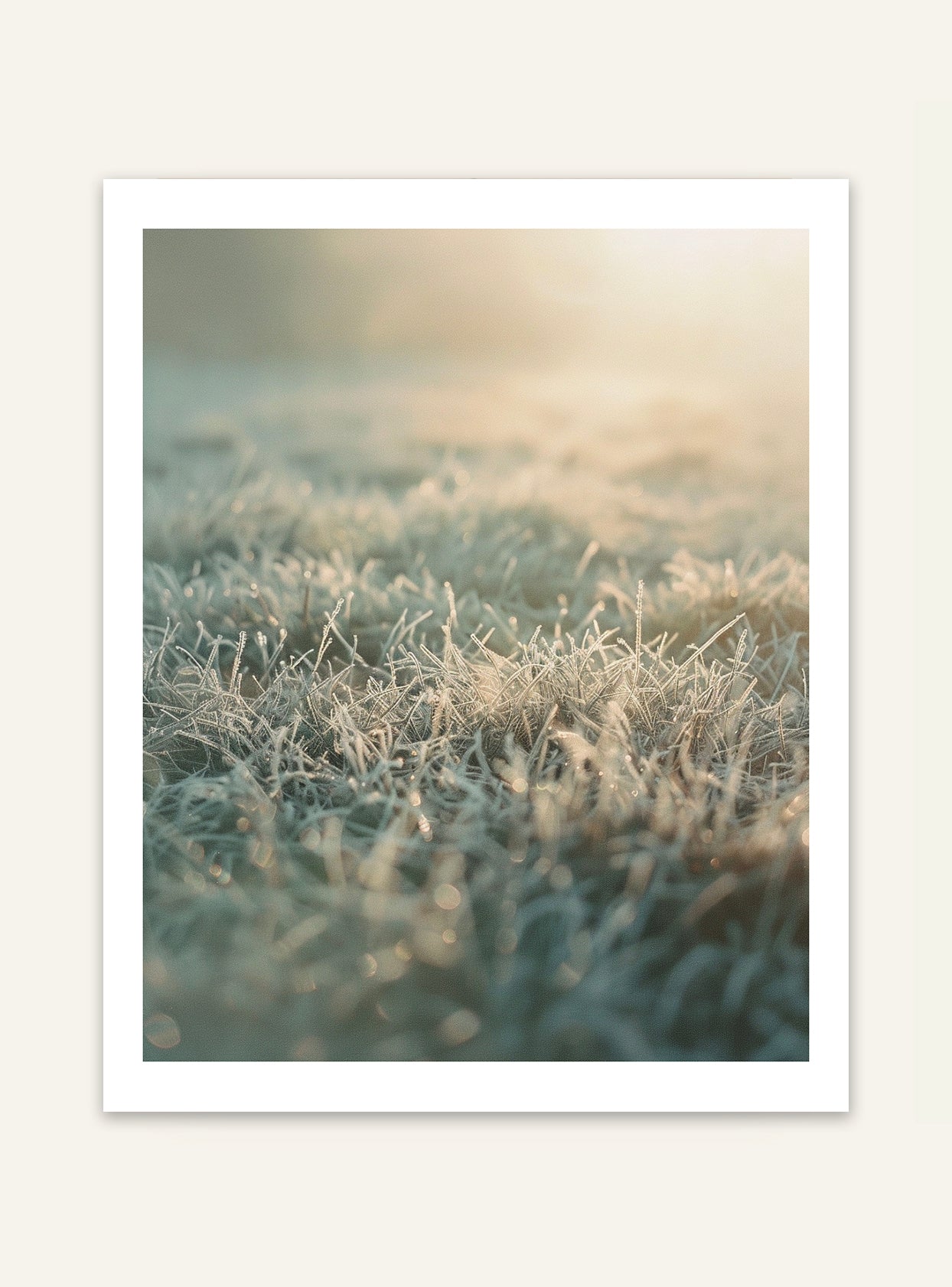 Frost Grass poster från Nordanio, naturmotiv med frostbeklämt gräs, väggdekoration för naturälskare.
