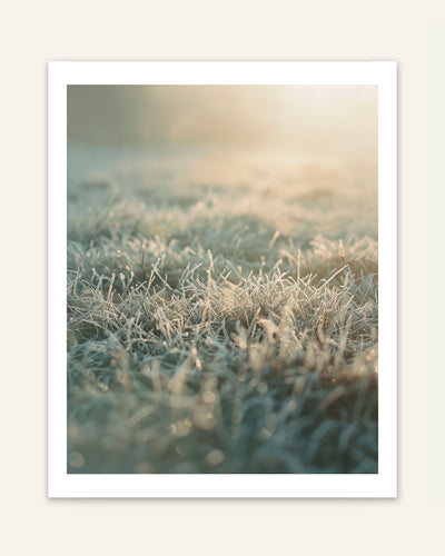 Frost Grass Poster