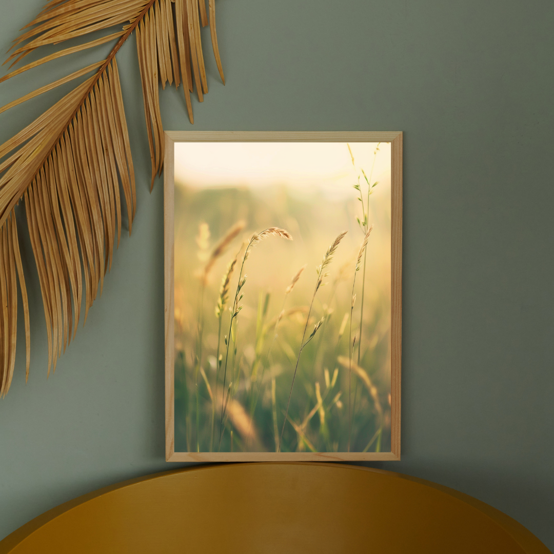 Naturskildring av gräsfält på Nordanio naturposter i guldig ram, visad i Instagram-mockup.