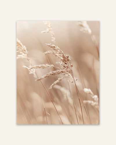 Grass Close-Up Poster