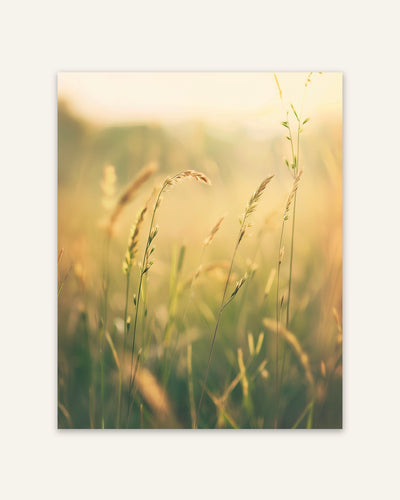 Grass Field Poster