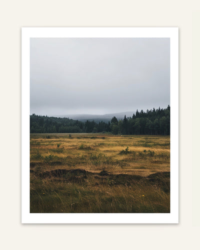 Open Meadow Poster