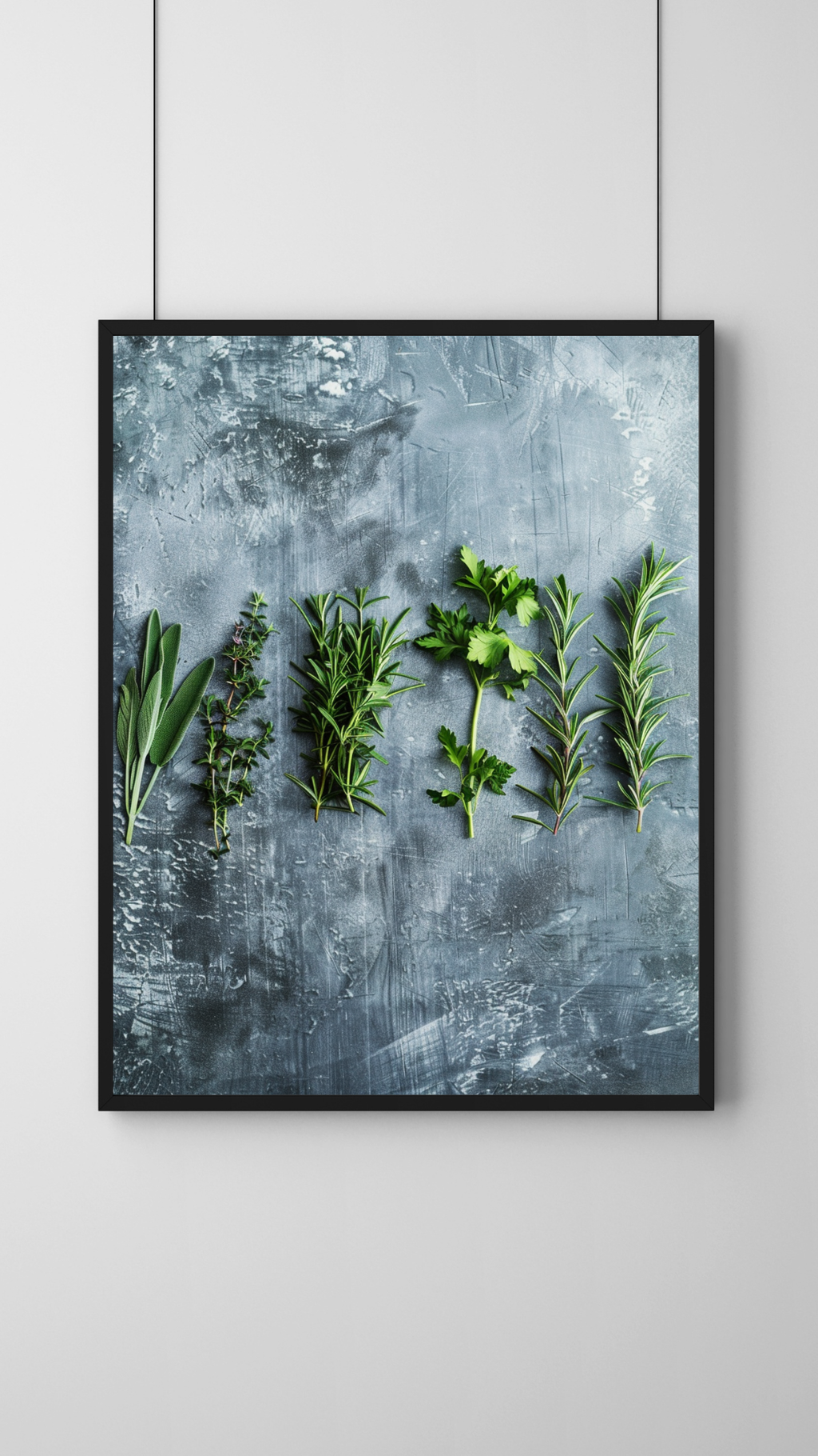 Grå minimalistisk poster av färska örtrader, botanisk fruktposter från Nordanio, växtillustration i modern stil
