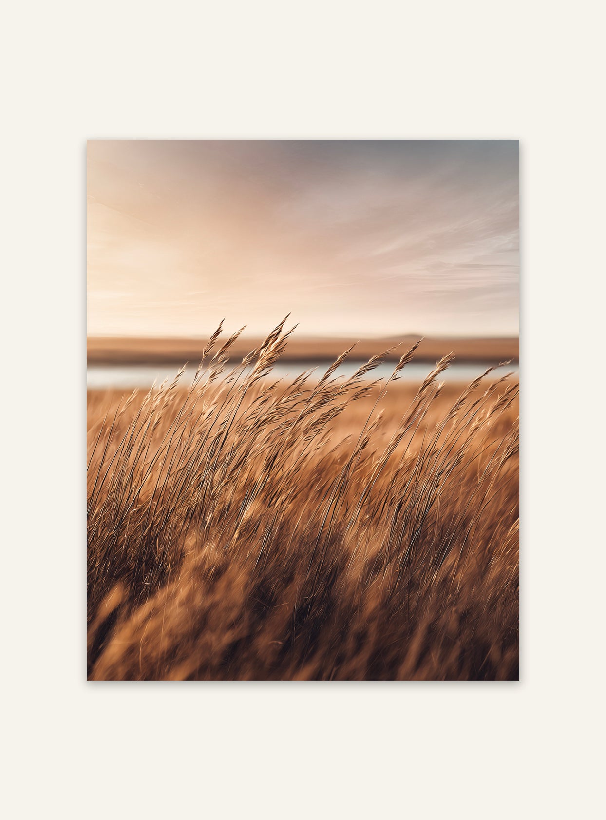 Skandinaviskt naturposter med gyllene gräsfält i minimalistisk design, av Nordanio, perfekt för väggdekoration.