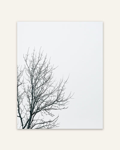 Bare Branches Poster