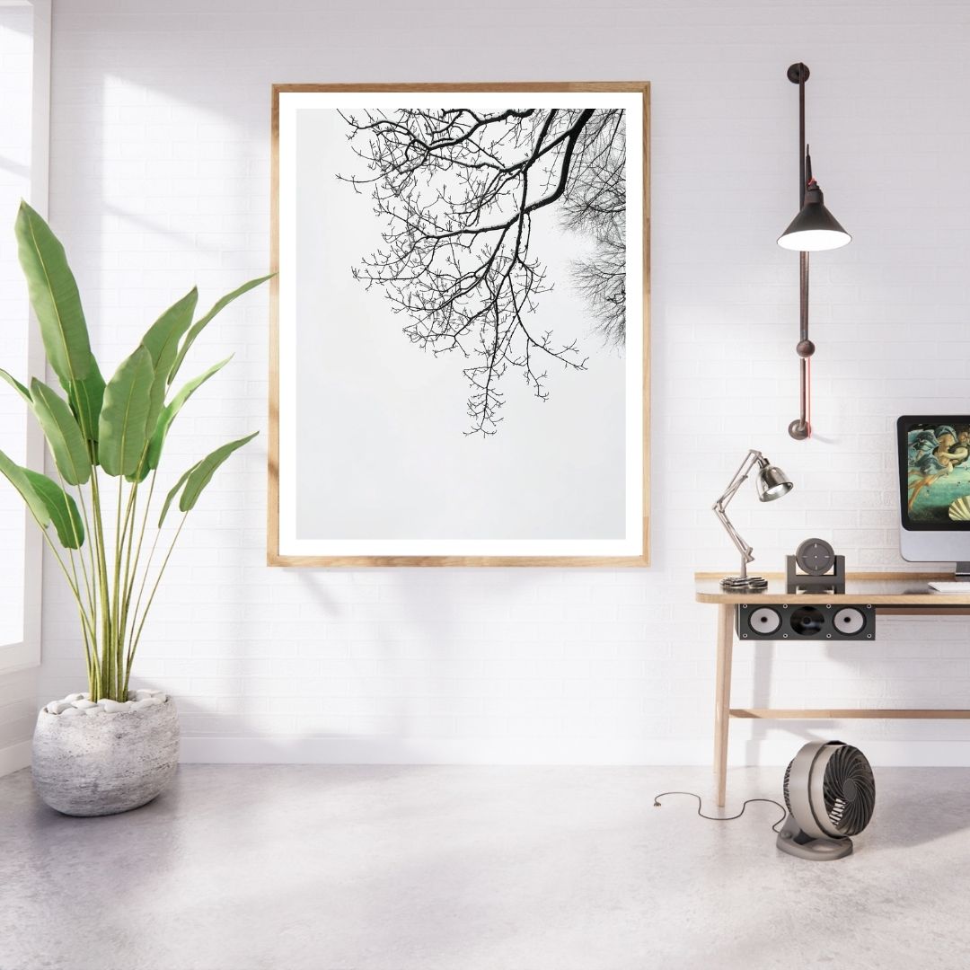 Moderna väggkonstposter med grenar från Nordanio, naturmotiv för inredning i hemmiljö.