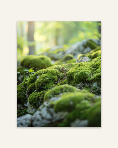 Moss Close-Up Poster