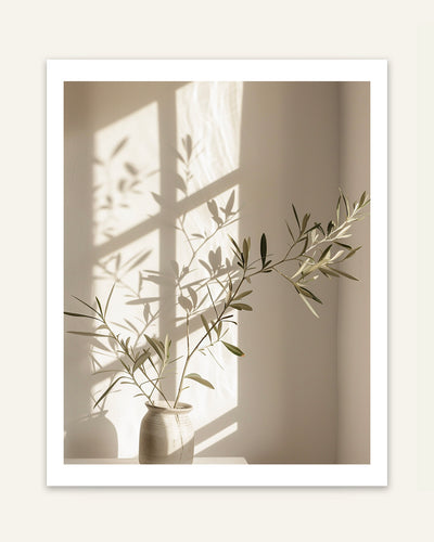 Olive Branch Shadows Poster