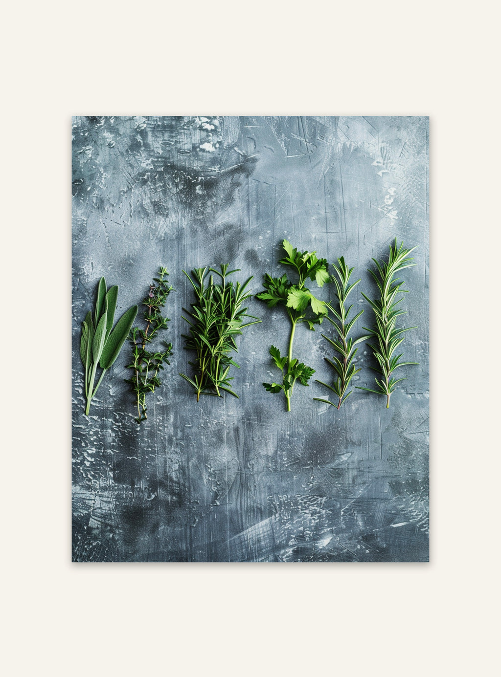 Växtposter med färska örter och frukter av Nordanio, visar linjer av olika örter och frukter på en poster.