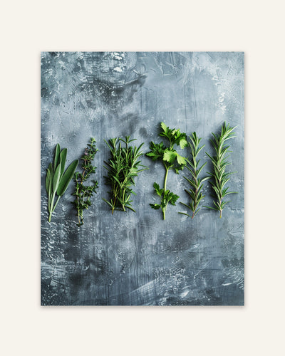 Fresh Herb Lines Poster