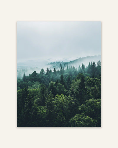Forest Silhouette Poster