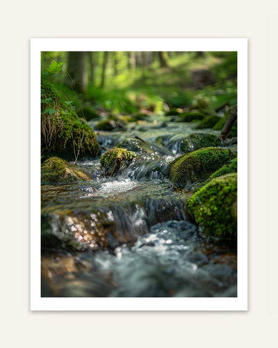 Forest Creek Poster
