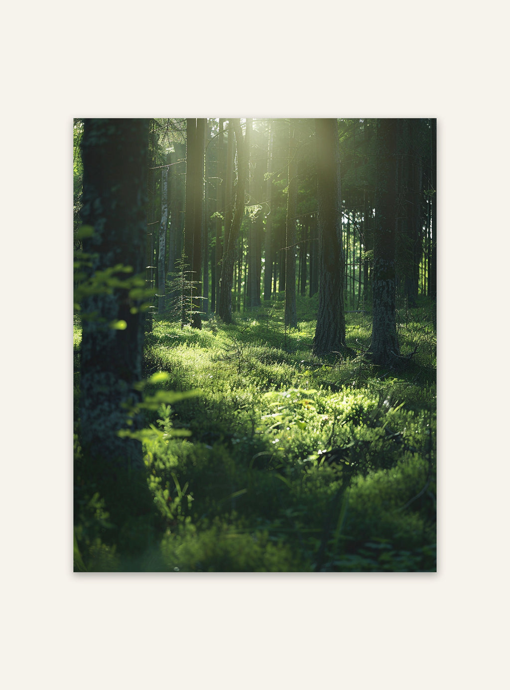 Höstskog poster av Nordanio, naturmotiv med träd och skogsglans, perfekt för väggdekoration i hemmet