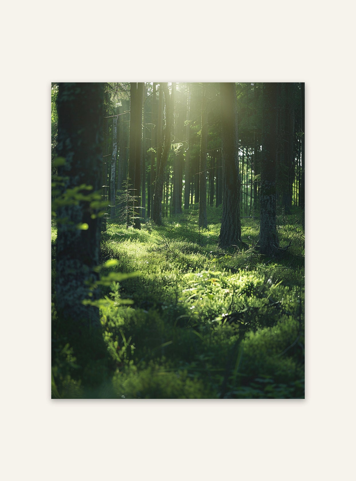 Höstskog poster av Nordanio, naturmotiv med träd och skogsglans, perfekt för väggdekoration i hemmet