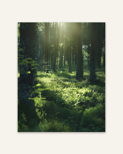 Forest Glade Poster