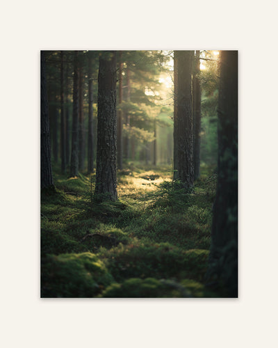 Forest Edge Poster
