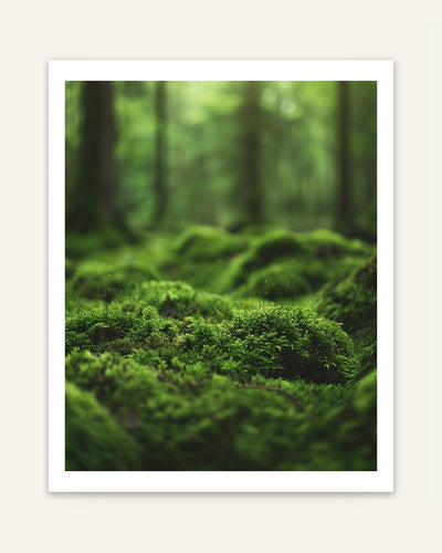 Forest Moss Poster