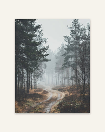 Foggy Forest Path Poster