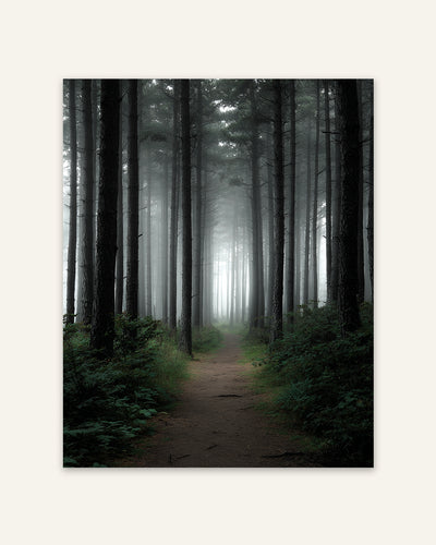 Forest Path Minimalist Poster