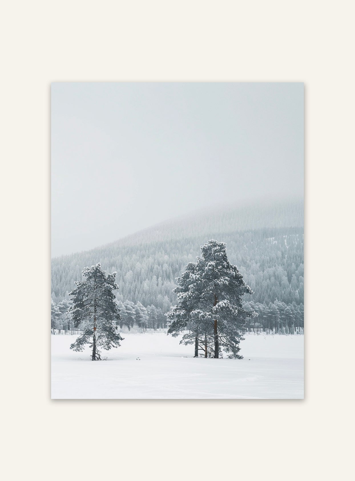 Snötäckta landskapsaffisch från Nordanio, naturnärbild av snöklädd vinterscen med ljus och frost.