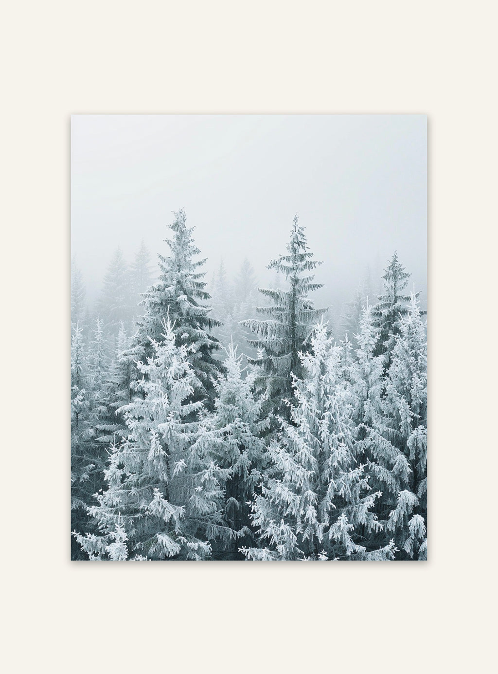 Snöklädda tallar i naturposter av Nordanio, med vinterlandskap och snötäckta träd.