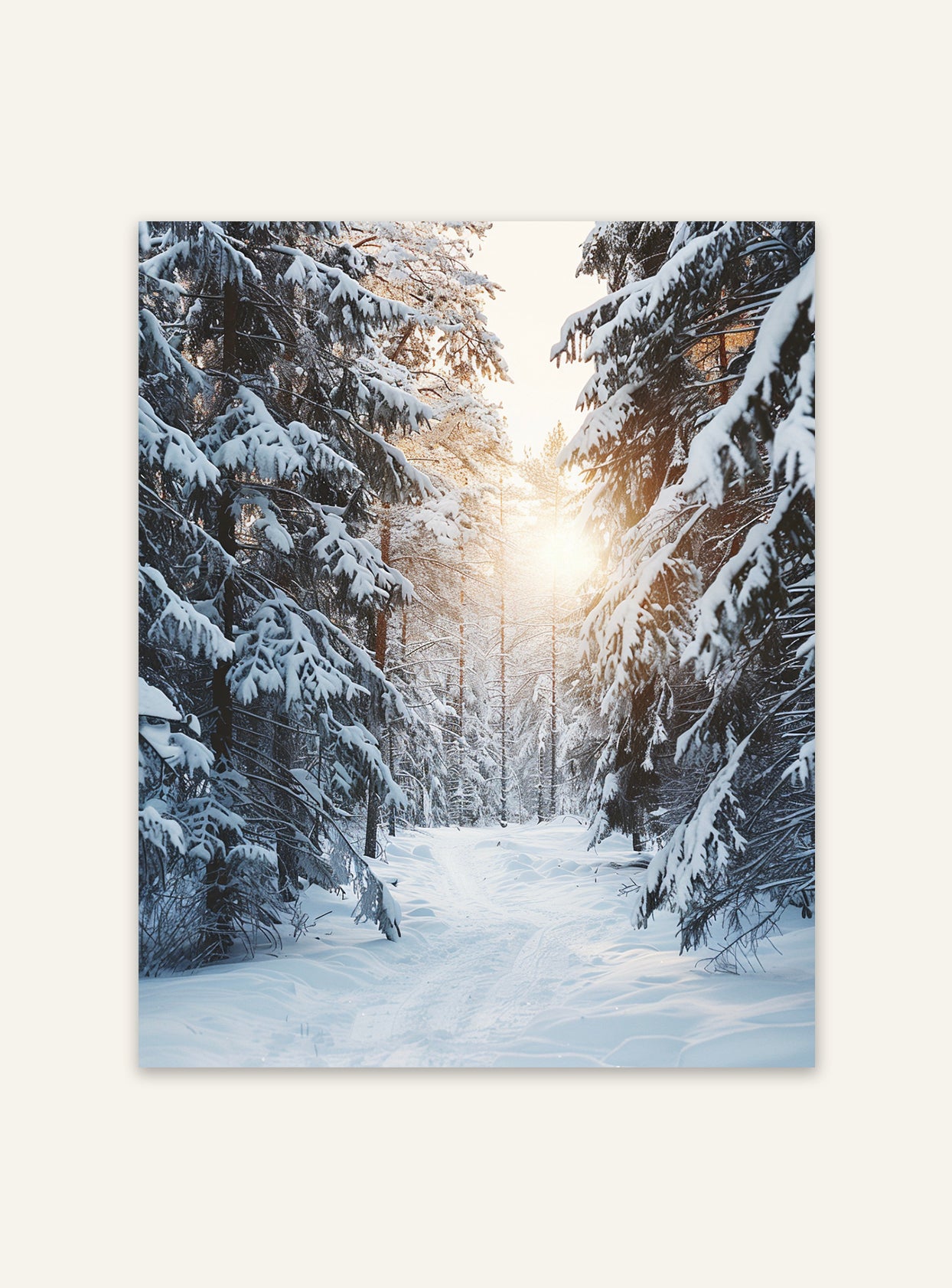 Snötäckta träd i naturposter från Nordanio, visar vinterlandskap med snöklädda träd och lugn naturmiljö.