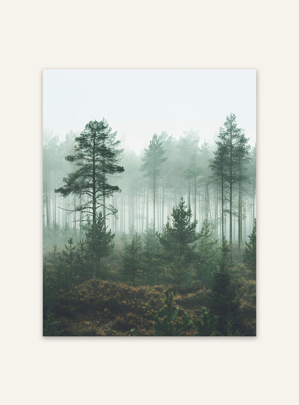 Nordanio naturposter av tallskog med dimma, som visar ett lugnt skogsscen med träd och dimmig atmosfär.