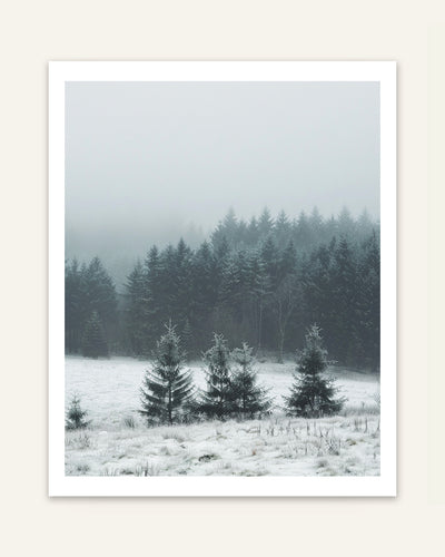 Foggy Tree Line Poster