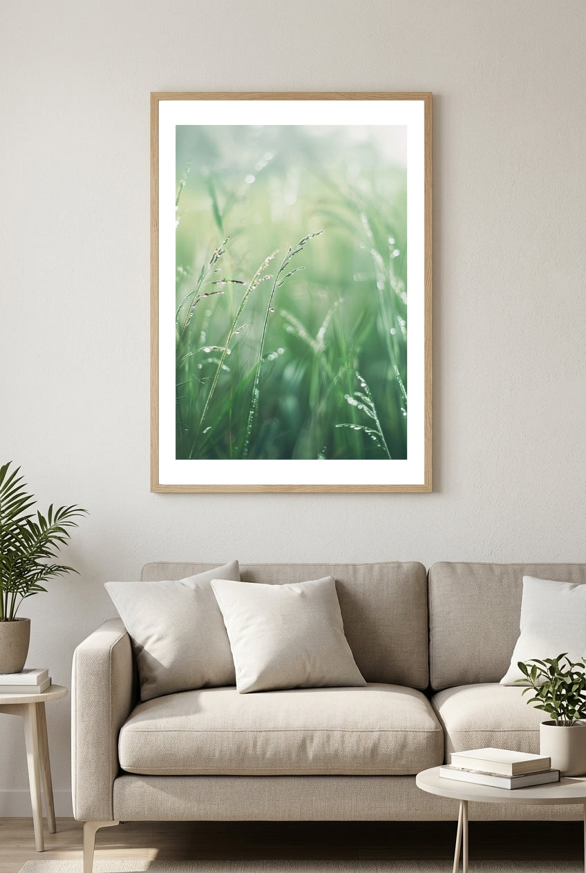 Nordanio naturposter med dewy gräs, visar färgglada grässtrån med daggdroppar på ett naturligt landskap.