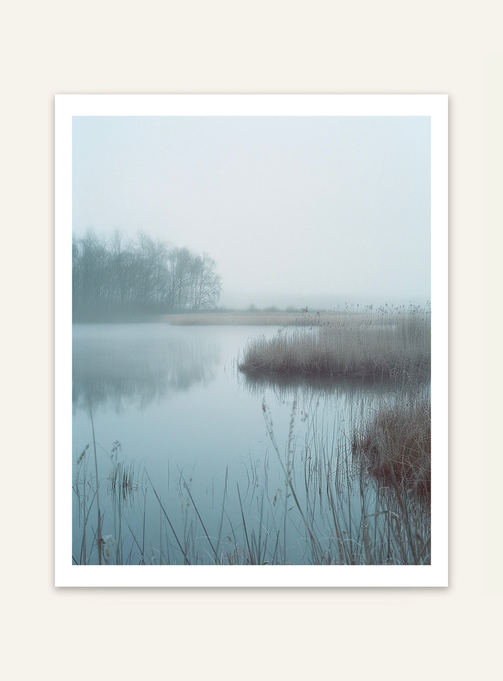 Nordanio naturposter av våtmarkssimma, vattendimma och skyddande våtmarksmiljö i vacker landskapsbild