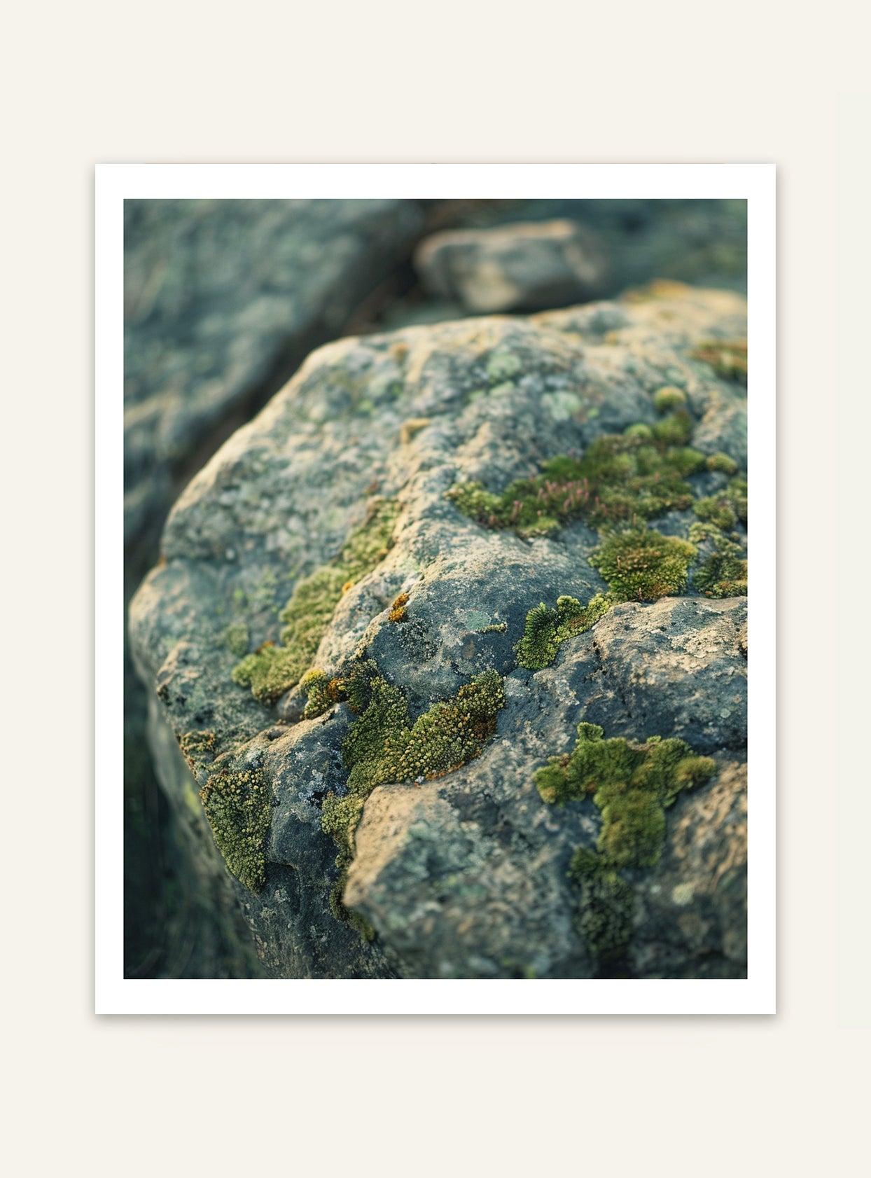 Naturposter med mossa och stenar från Nordanio, visar en vacker skogsscen med gröna mossor och naturliga stenar.