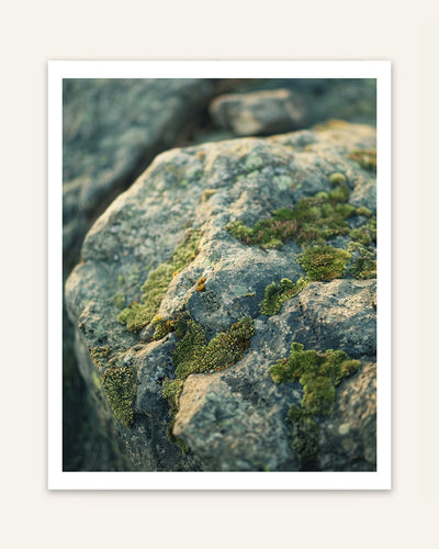Mossy Stone Poster